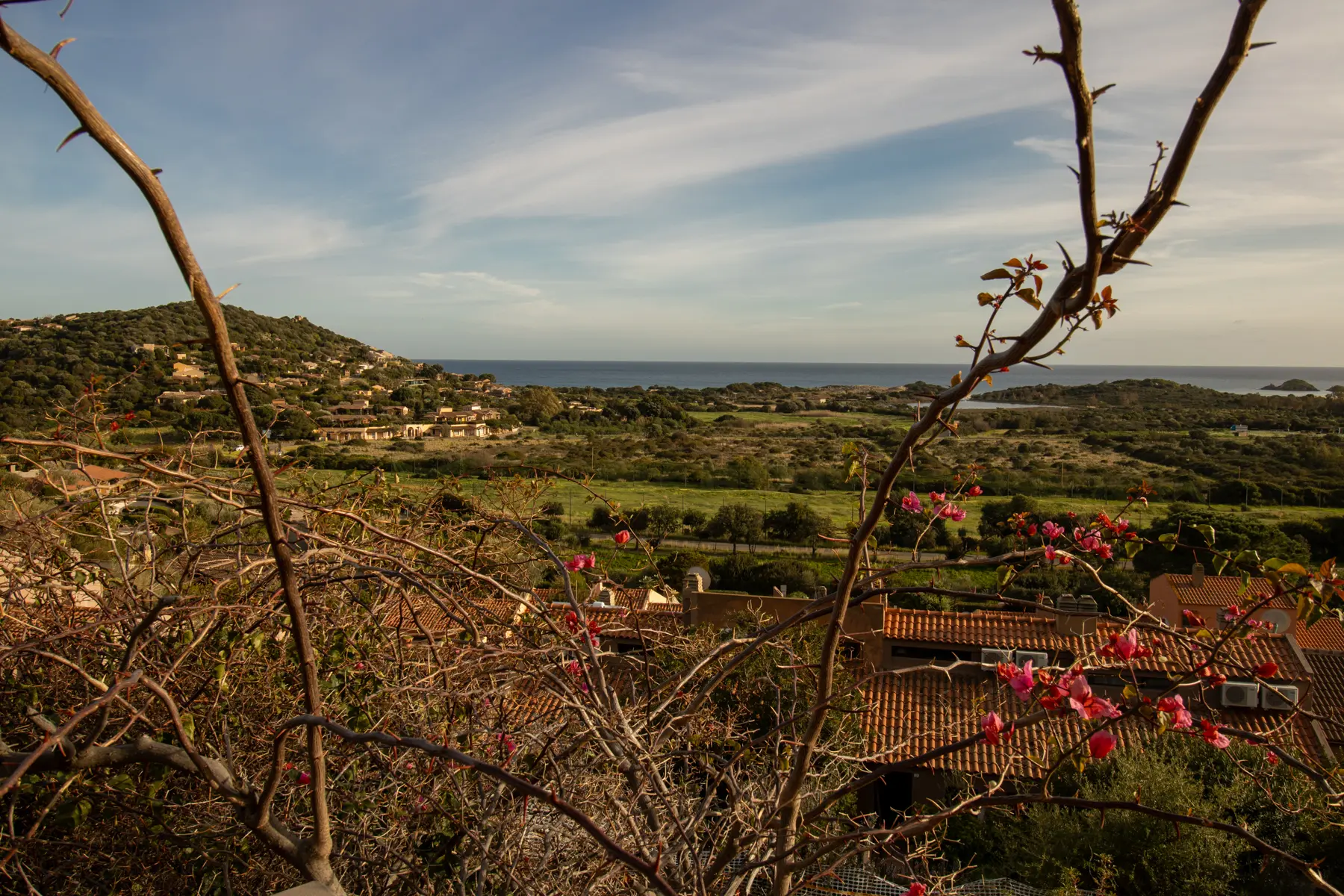 Vista sul mare e sulla macchia dalla proprietà